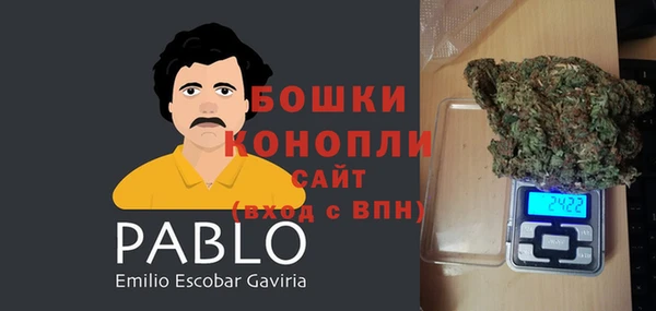 молекула духа Алексин