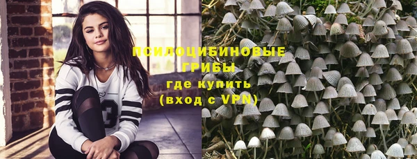 молекула духа Алексин
