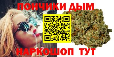 прущие грибы Краснознаменск