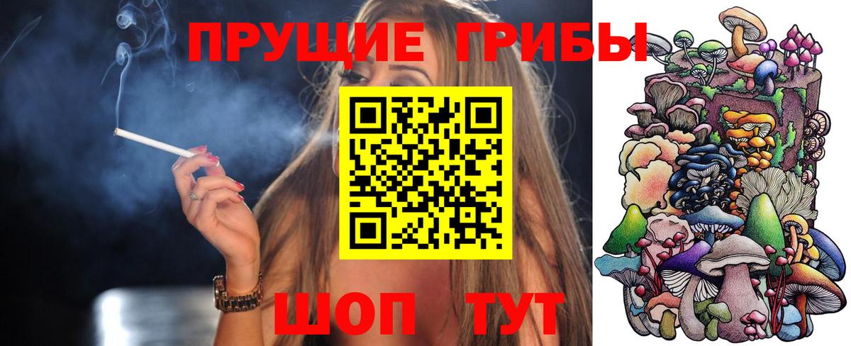 Галлюциногенные грибы Magic Shrooms Кудрово