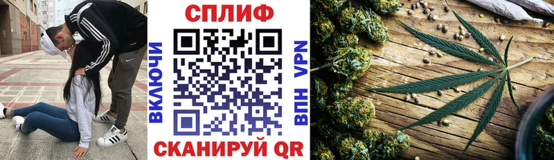 Бошки Шишки SATIVA & INDICA  Кудрово 